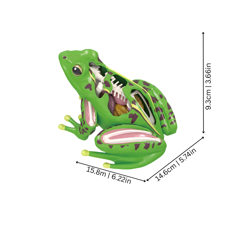 Froglo