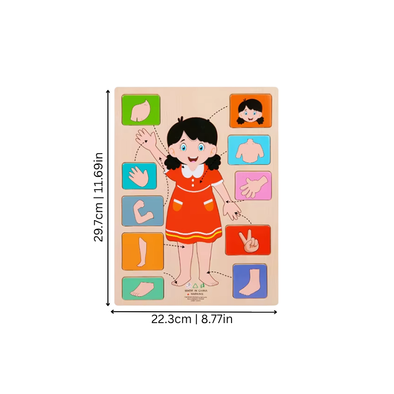 KörperPuzzle