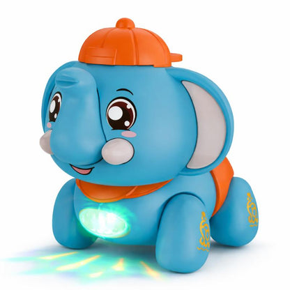 Trommelio