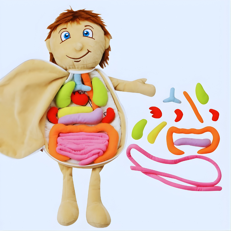 Flextoy