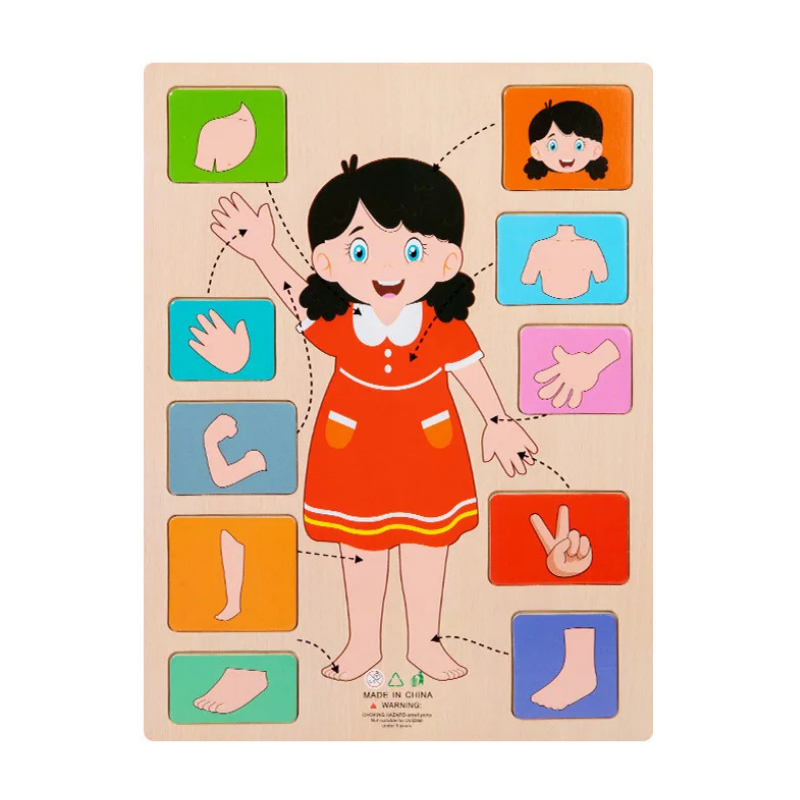 KörperPuzzle